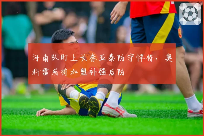河南队盯上长春亚泰防守悍将，奥科雷或将加盟补强后防