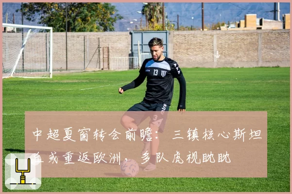 中超夏窗转会前瞻:三镇核心斯坦丘或重返欧洲,多队虎视眈眈