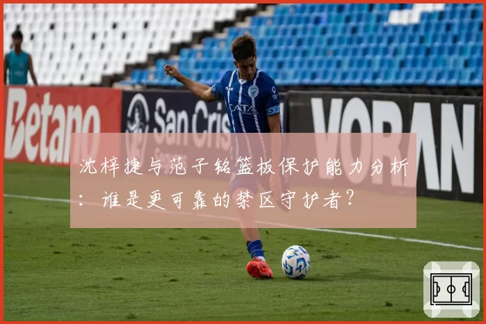 沈梓捷与范子铭篮板保护能力分析：谁是更可靠的禁区守护者？