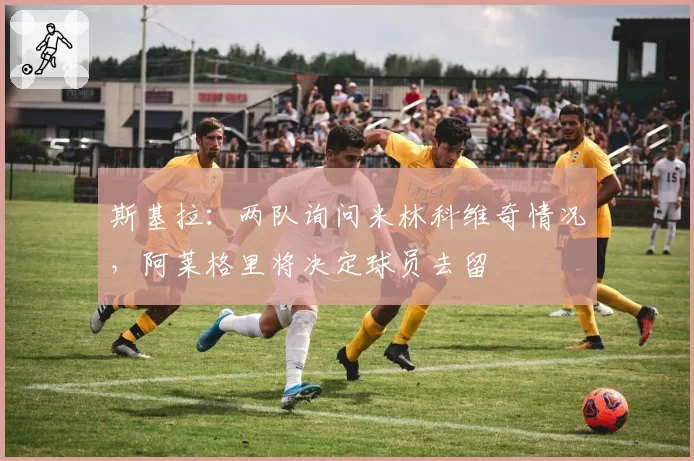 斯基拉：两队询问米林科维奇情况，阿莱格里将决定球员去留